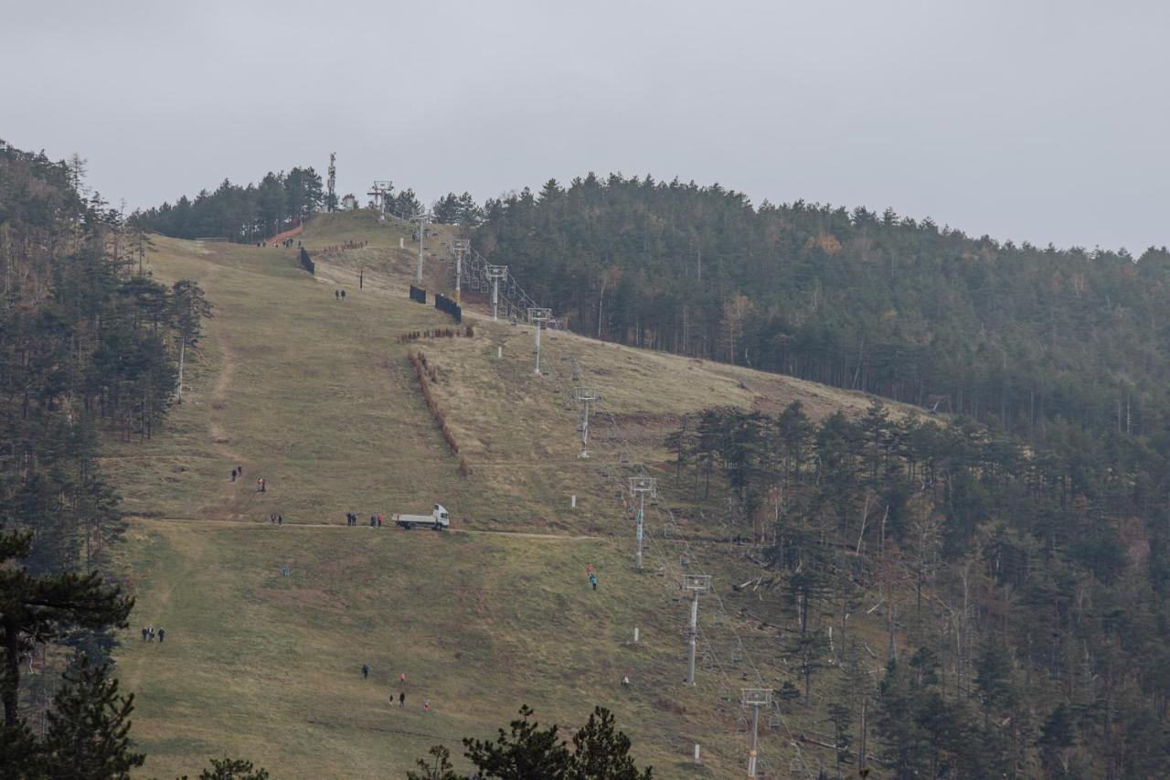 Divcinova Planinski A9 *