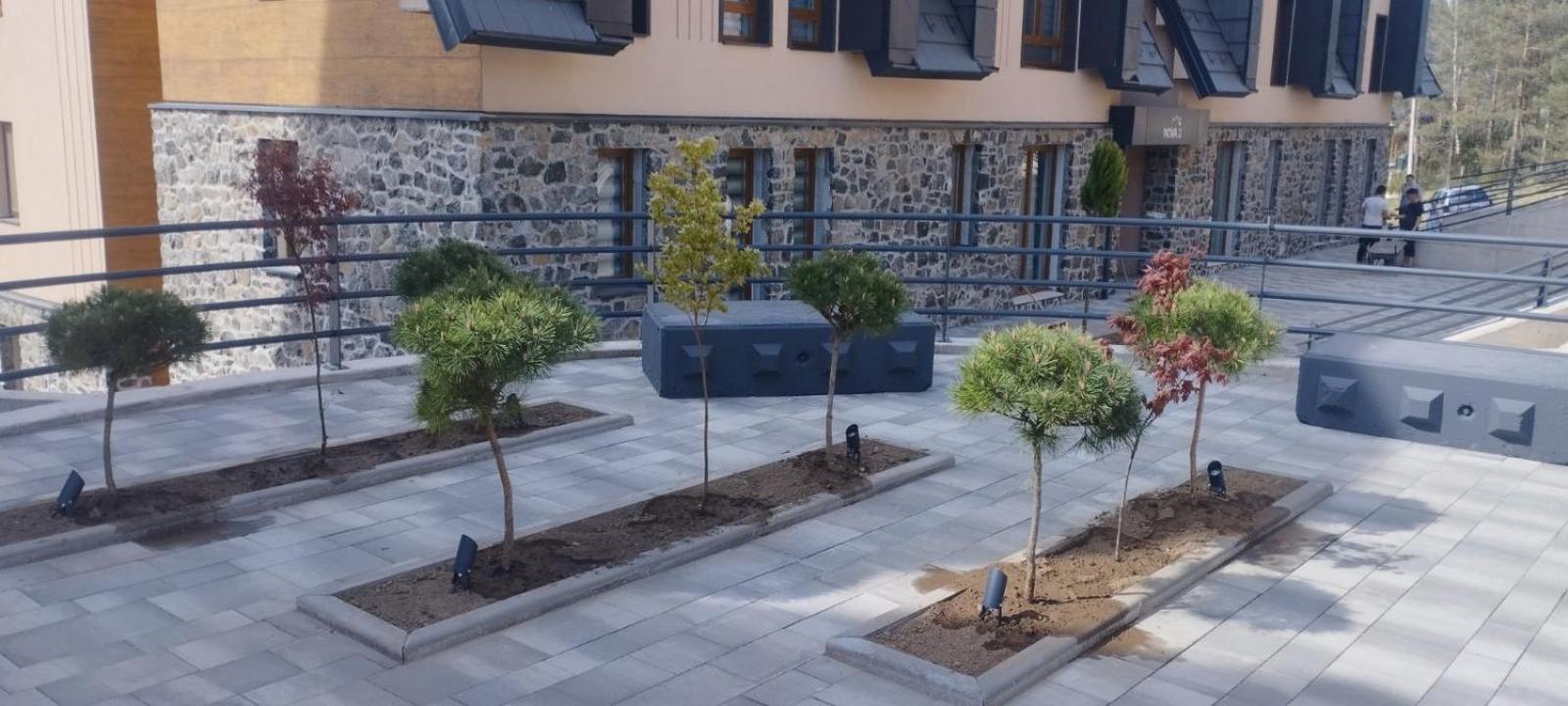Apartment Divcinova Planinski A9